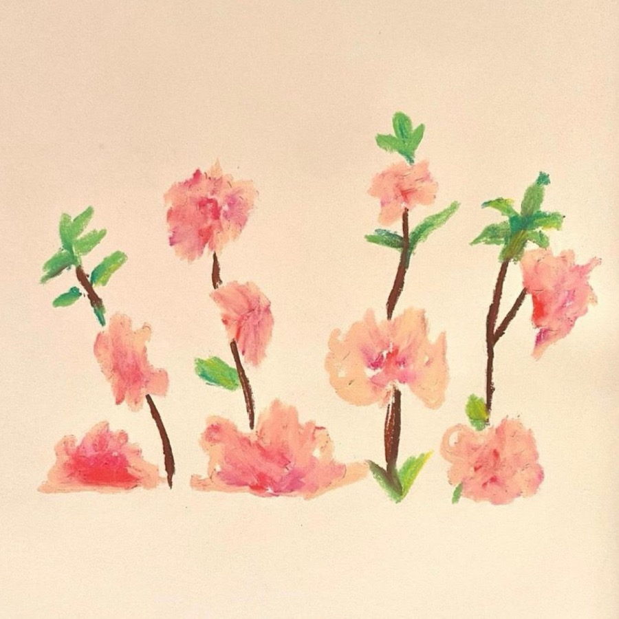 Blossom