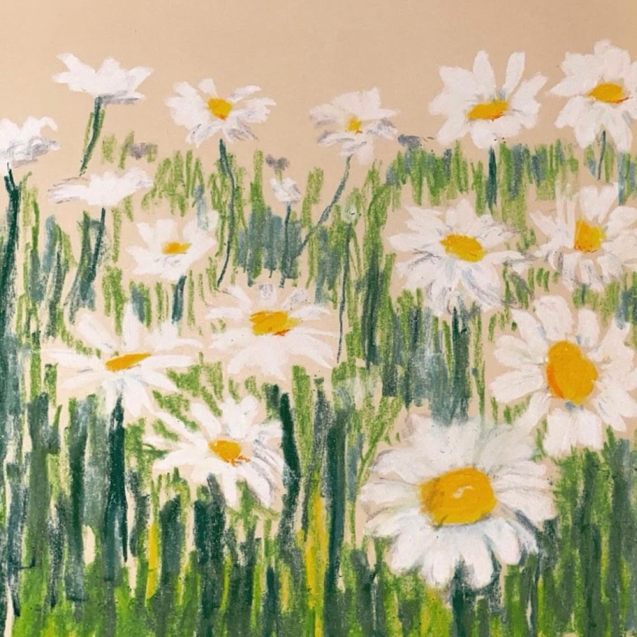 The Field
